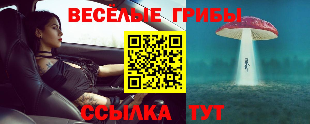 Псилоцибиновые грибы Cubensis Кисловодск