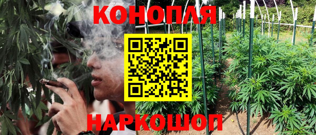 Конопля Ganja  Вход с VPN  Конопля Amnesia  Марихуана White Widow  Кисловодск  Бошки Шишки White Widow 